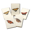 Butterfly Assortment- Note Cards 8pk