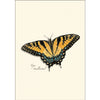 Butterfly Assortment- Note Cards 8pk