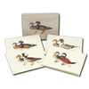 Duck Assortment - Note Cards 8pk