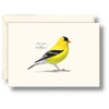 Sibley's American Goldfinch - Note Cards 8pk