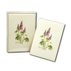 Lupine - Note Cards 8pk