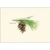 Pinecone Assortment - Note Cards 8pk