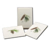 Pinecone Assortment - Note Cards 8pk