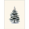 Winter Spruce - Note Cards 8pk